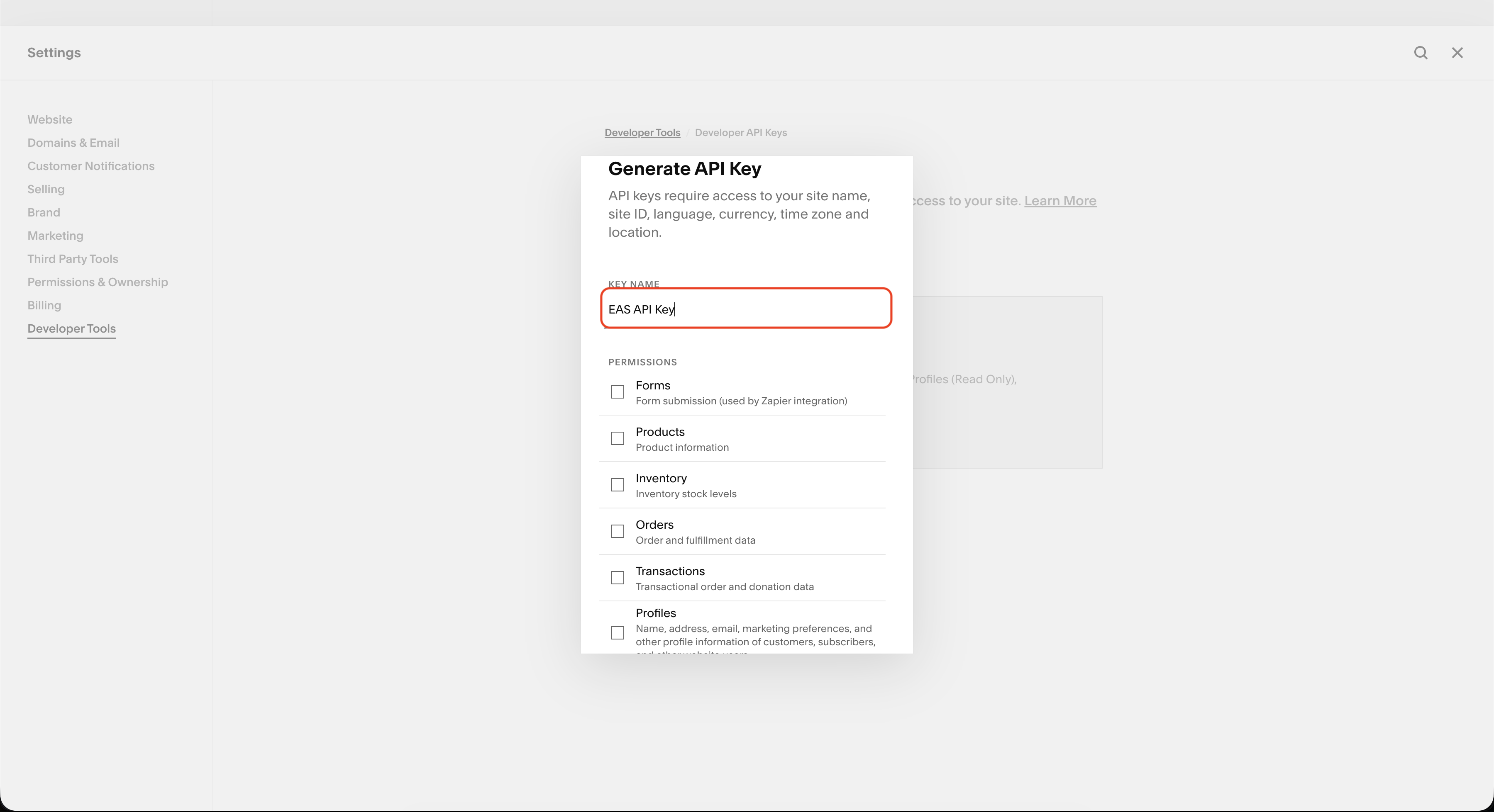 Setting API key name